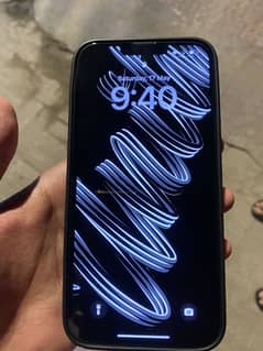 iPhone 13 Pro Max 256
