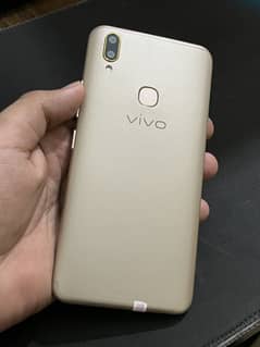 Vivo