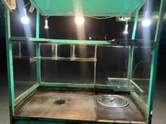 Burger shawrma fries counter