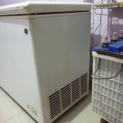 pel  company