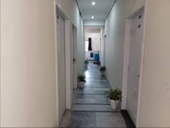 Aesthetic Prime Location Room Of 150 Square Feet For Rent Is Available