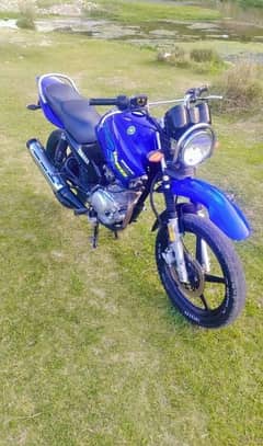 Yamaha