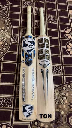 hard bats