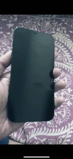 iPhone 12 Pro Max pta approved