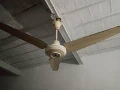 Used fan