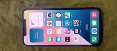 xs max pta approved total original
