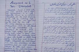 Assignment writing