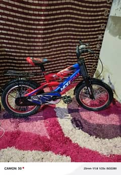 Morgan cycle size 16 dis break