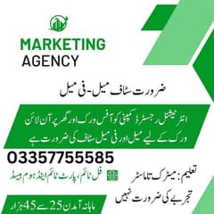 golden opportunity for fresher