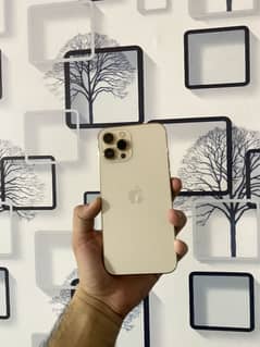 Iphone 12promax