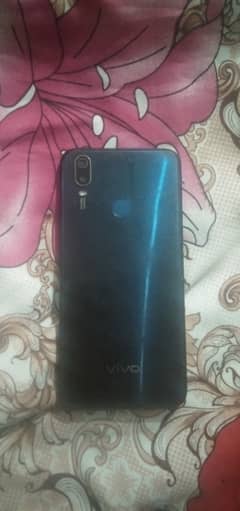 Vivo