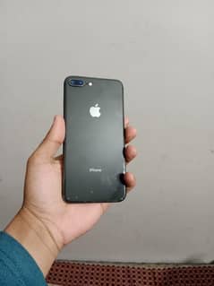 For Sale