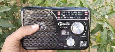 Yuegan charging radio