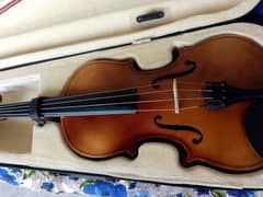 brand new violan