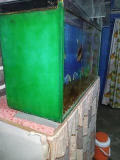 aquarium for sale