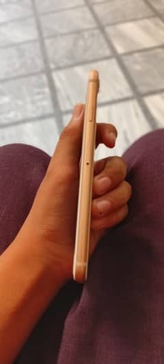 iPhone 8 256 gb non pta
