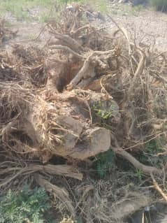 Mondai (Wood)  for sale