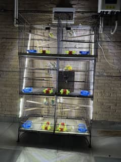 Love bird all setup sale