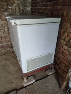 Low Price Double Door Deep Freezer Ready to Use