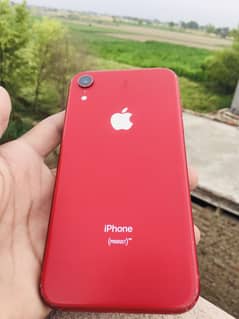 Xr JV