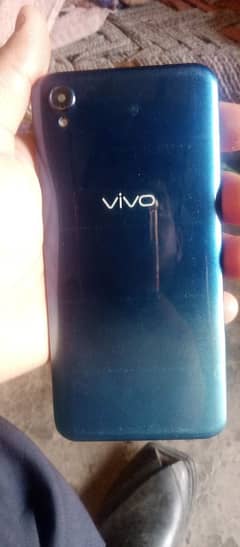 vivo