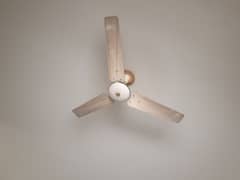 Ceiling Fan  pak fan