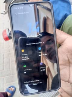VIVO