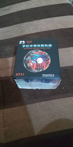 Gt