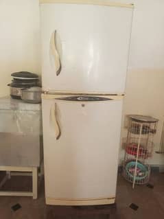 waves refrigerator