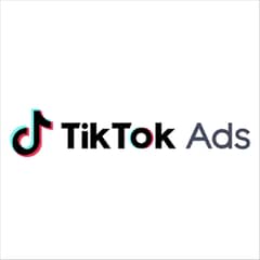 TikTok Ads for your Business