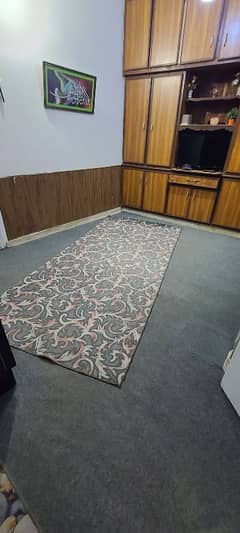 carpet