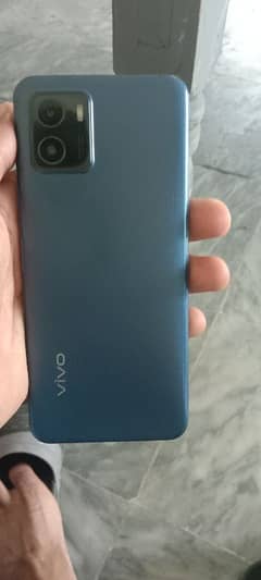 vivo