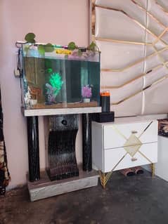 aquarium