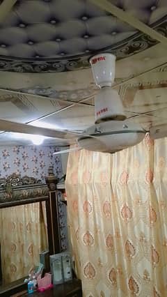 Royal Fan for sale