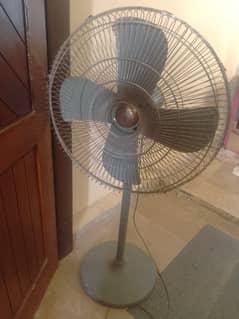 Jali ko ak tanka lagy ga or koi masla ni ha