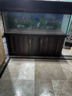 AQURIUM FOR URGENT SALE
