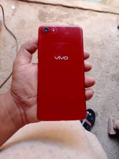 vivo