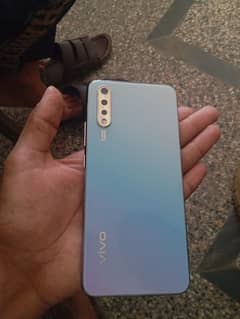 vivo