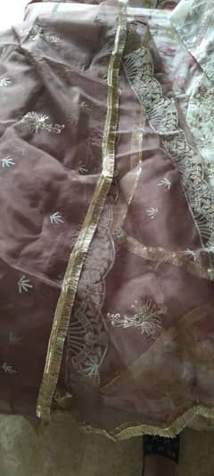 shirt trouser with dupata