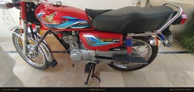 Honda 124 Model August 2024