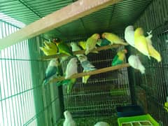 Mix
