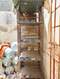 bird cage