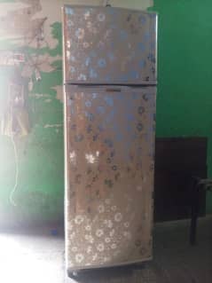 fridge ginein