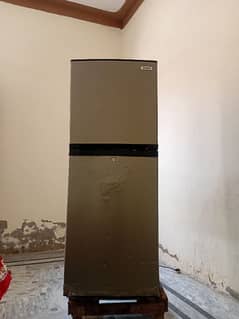 orient company medium size fridge