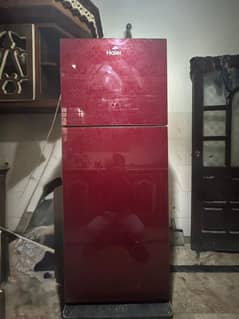 Haier Refrigerator double portion
