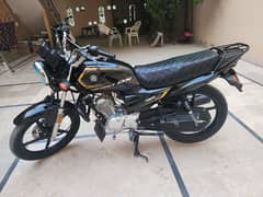 Yamaha ybz dx 2024