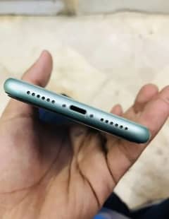 iphone 11 pta approved condition good