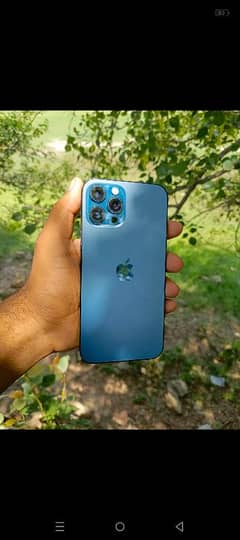 serious contact with me  phone number 03255047233