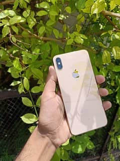 Iphone XS max (dual pta approved)