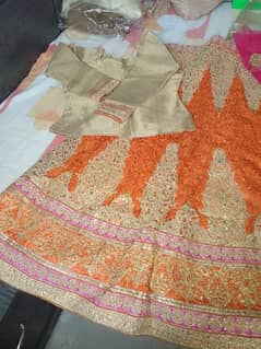 Trendy Fish Style Lehnga Dress With Fish Skin Textured